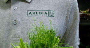Photo du blog, détail des supports textiles imprimés en sérigraphie par Superfruit pour Akebia