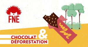 Barre chocolatée devant des arbres sur fond jaune avec le logo de FNE et la mention "chocolat et déforestation"