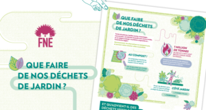Vignette de présentation du nouveau projet pour France Nature Environnement "Que faire de nos déchets de jadrin?" : apperçu de l'affiche et des illustrations végétales