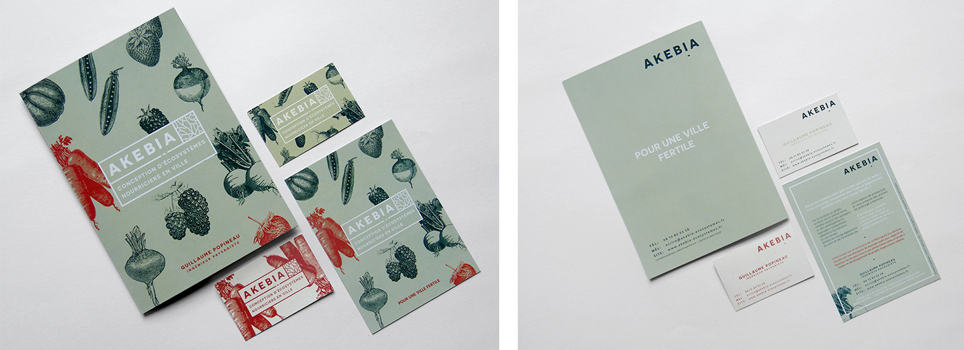 Aperçu des supports papier conçus pour Akebia : cartes de visite, dépliant et flyer. Détail des rectos et des versos.