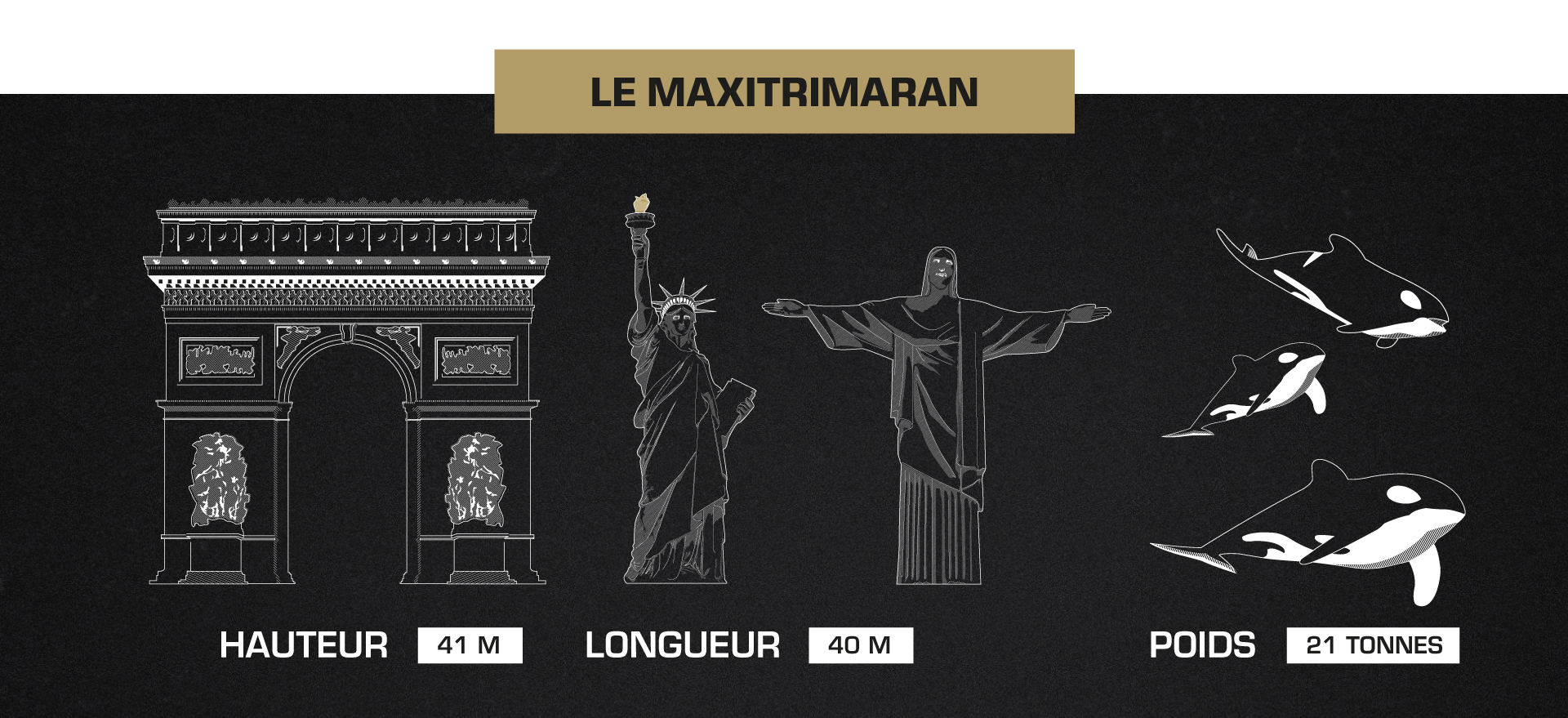 Banque de motifs proposée pour ma charte graphique de CIRCa pôle national cirque de Auch. Formes basées sur les bâtiments de Auch et du Gers